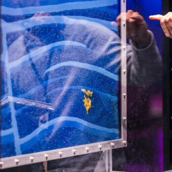 Fluidflower CO2 lagring, CCS Fluidflower CO2 lagring, CCS